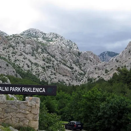 Prominac Задар